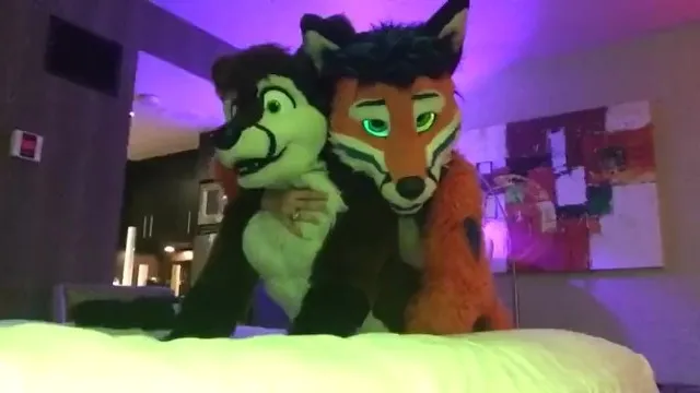 Fursuit HookUp MasterkennyG And Felix